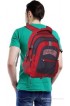 American Tourister 14 inch Laptop Backpack(Red/Grey)
